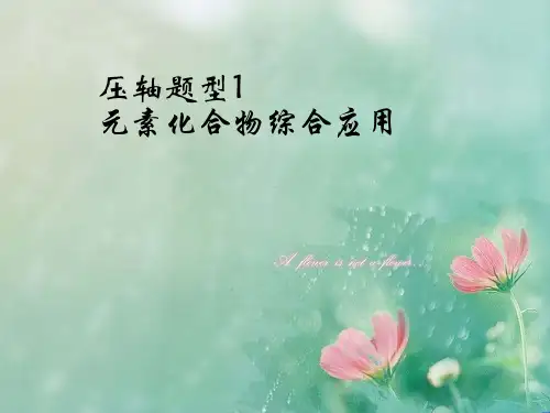 高考化学-压轴题型 精品优选公开课件