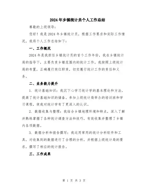 2024年乡镇统计员个人工作总结