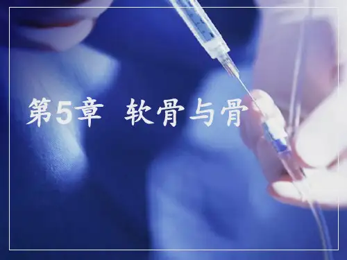 人体解剖组织及胚胎学--第5章 软骨与骨