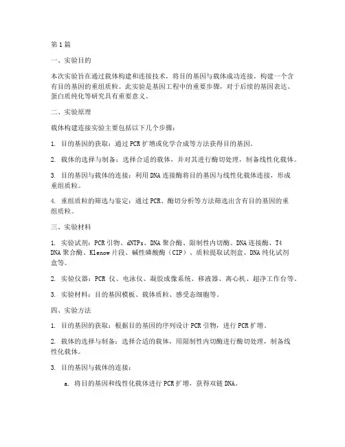 载体构建连接实验报告(3篇)