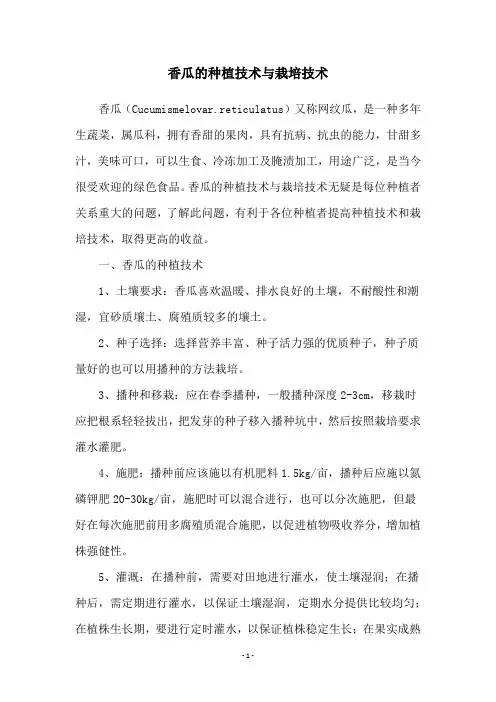 香瓜的种植技术与栽培技术
