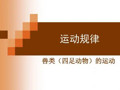 运动规律-兽类(四足动物)的运动