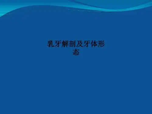 乳牙解剖及牙体形态