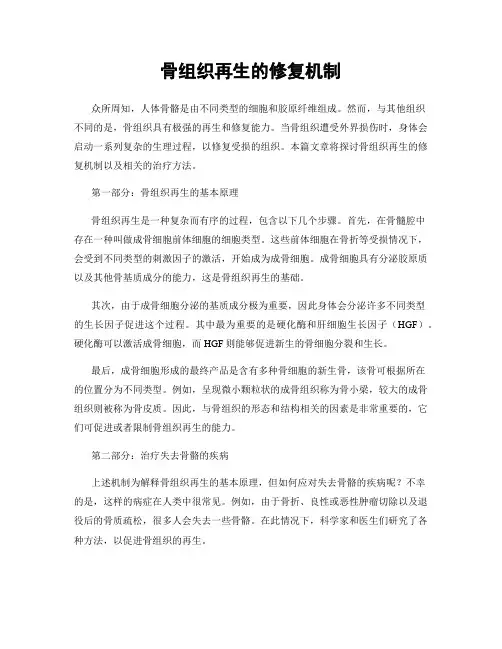 骨组织再生的修复机制