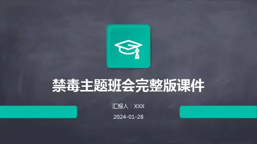 禁毒主题班会完整版课件