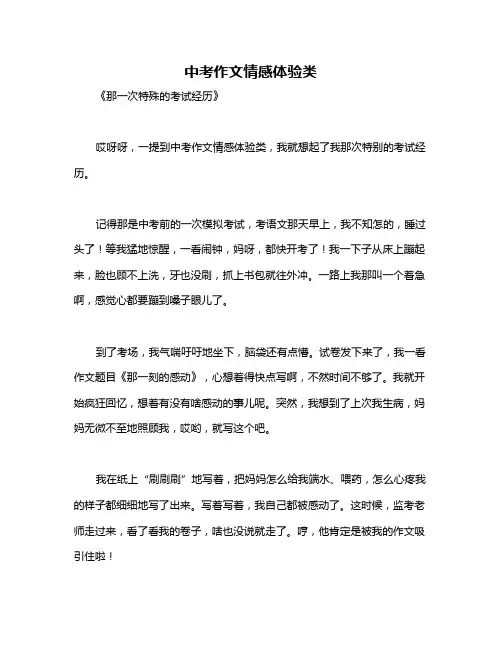 中考作文情感体验类