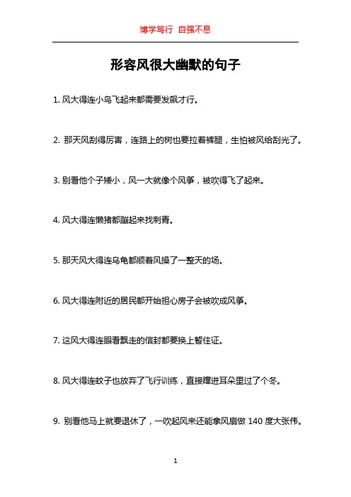 形容风很大幽默的句子