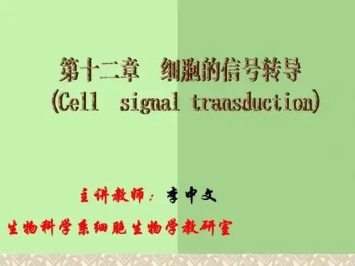 第十二章细胞的信号转导
