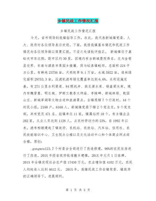 乡镇民政工作情况汇报