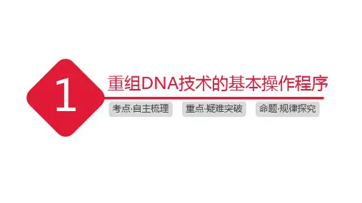 2024届高三生物一轮复习课件：35