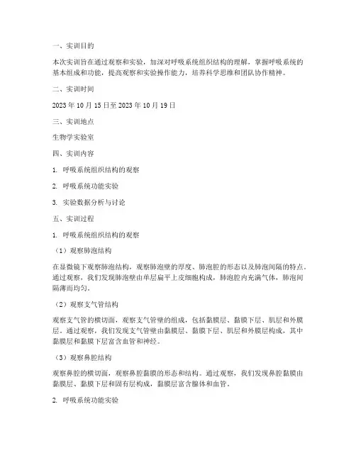 组胚呼吸系统的实训报告