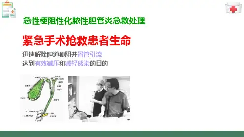 胆石症和胆道感染病人的护理