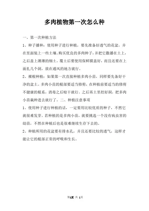 多肉植物第一次怎么种 