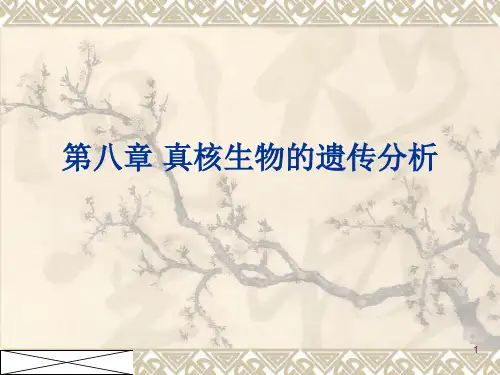 第08章真核生物的遗传分析XXXX
