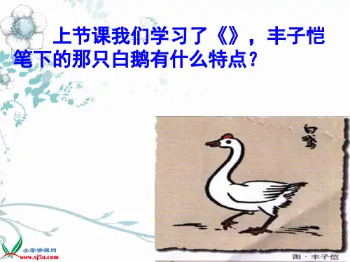 2白公鹅(精品)四年级上语文PPT课件