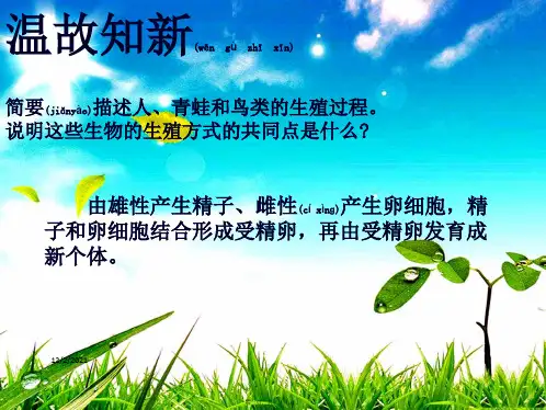 八年级生物上册 19.3《植物的生殖方式》课件3上册生物课件