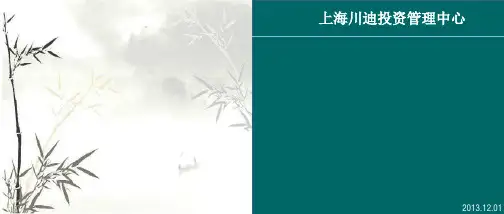 2014.03.17川沙简介