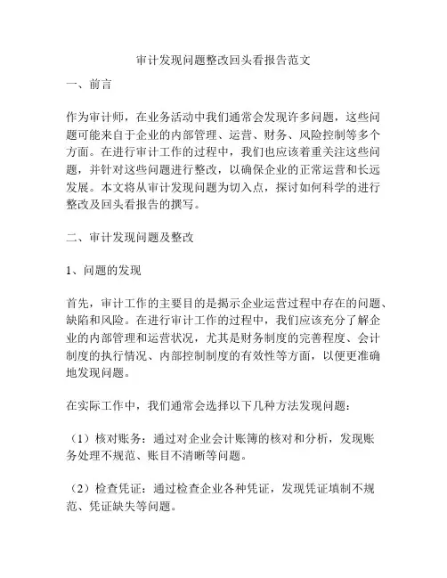 审计发现问题整改回头看报告范文