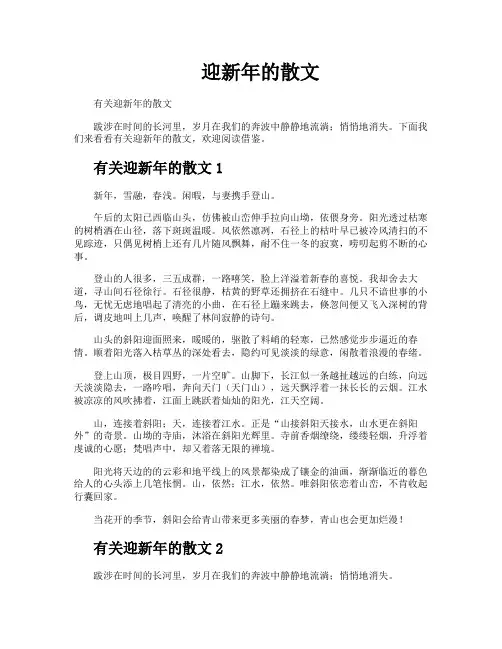 迎新年的散文