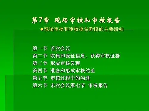 第7章审核报告