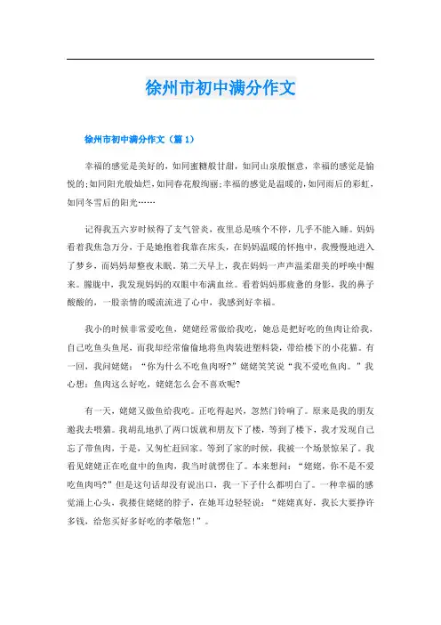 徐州市初中满分作文