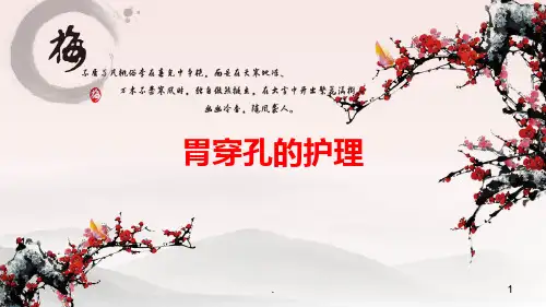 胃穿孔的护理PPT课件