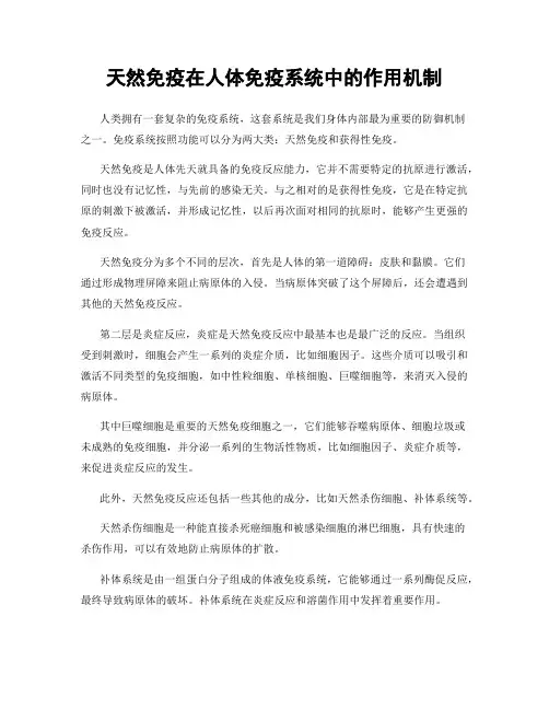 天然免疫在人体免疫系统中的作用机制