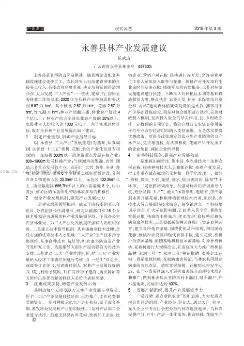 永善县林产业发展建议