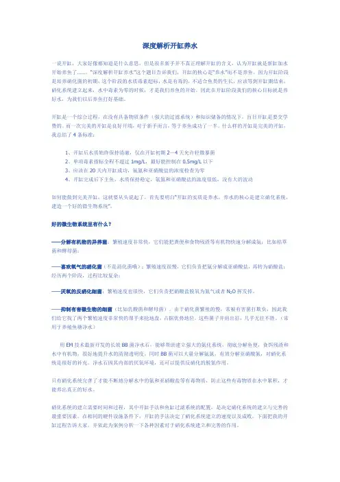 深度解析开缸养水-养鱼