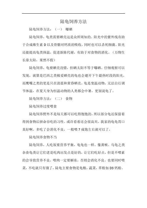 陆龟饲养方法