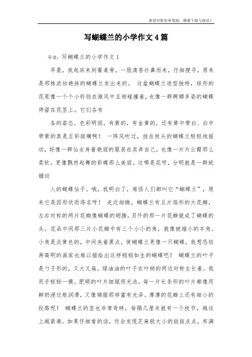 写蝴蝶兰的小学作文4篇