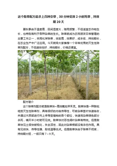 这个除草配方能杀上百种杂草，30分钟见效2小时死草，持效期20天
