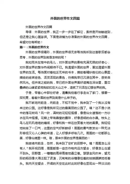 外面的世界作文四篇