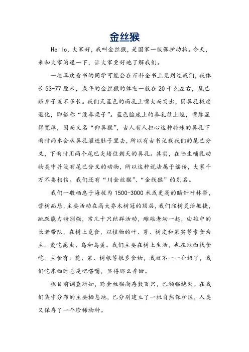 金丝猴