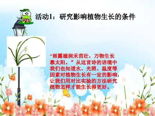 2022年冀教小学科学五上册《怎样使植物长得更好》公开课课件