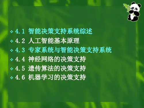 决策支持系统的开发实例