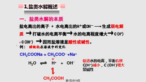 高三一轮复习盐类的水解PPT课件