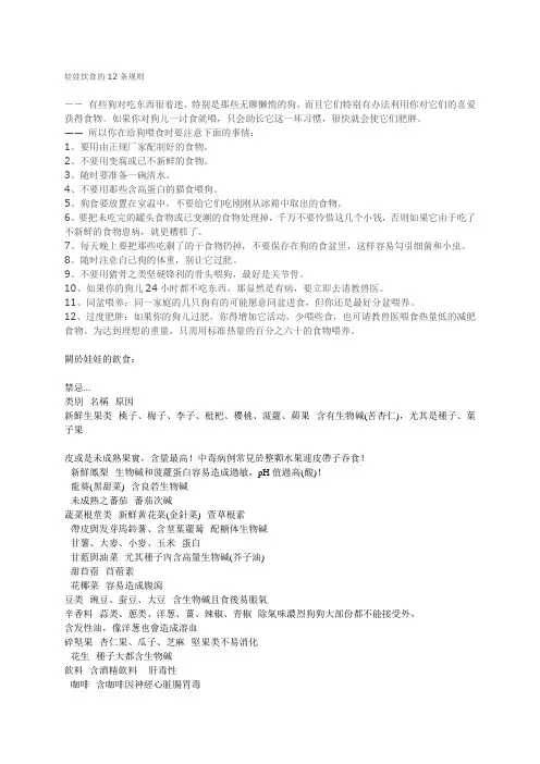 吉娃娃饮食的12条规则