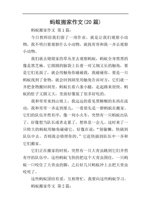 蚂蚁搬家作文(20篇)