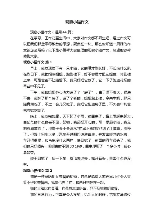 观察小猫作文（通用44篇）