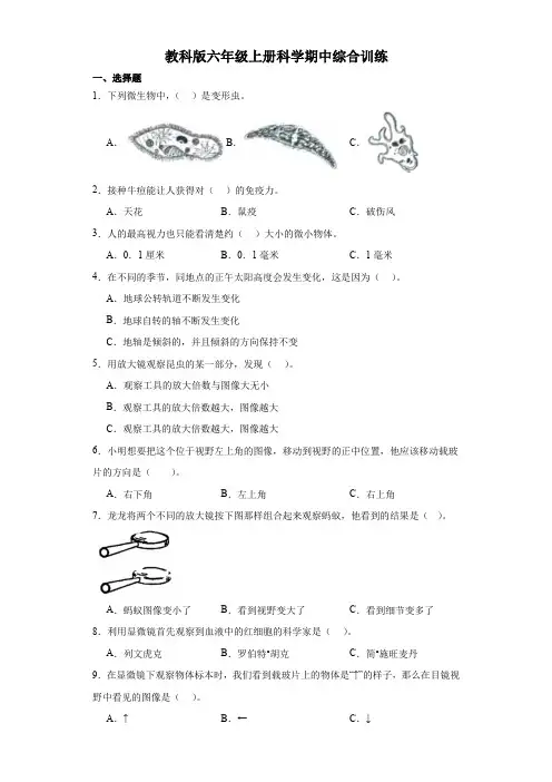 教科版六年级上册科学期中综合训练试卷(含答案)