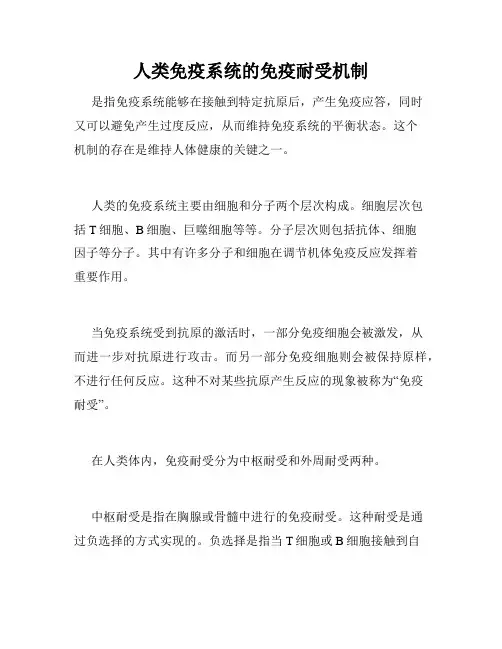 人类免疫系统的免疫耐受机制