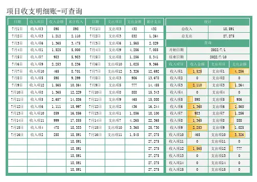 项目收支明细账Excel模板
