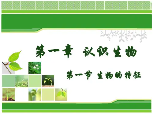 人教版七年级生物上册第一节生物的特征