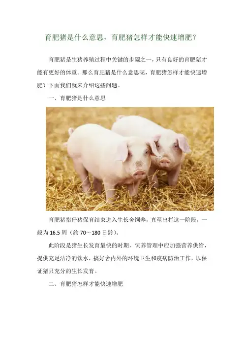 育肥猪是什么意思,育肥猪怎样才能快速增肥？