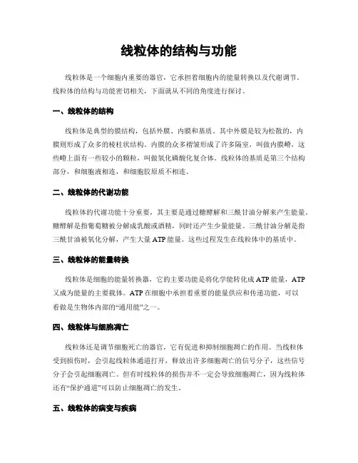 线粒体的结构与功能