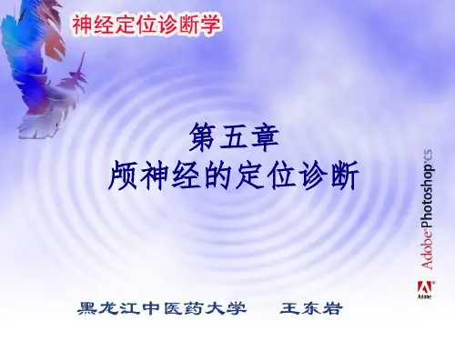 第二节视神经