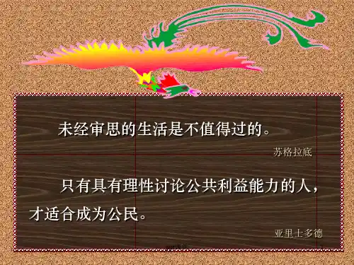 批判性思维  ppt课件