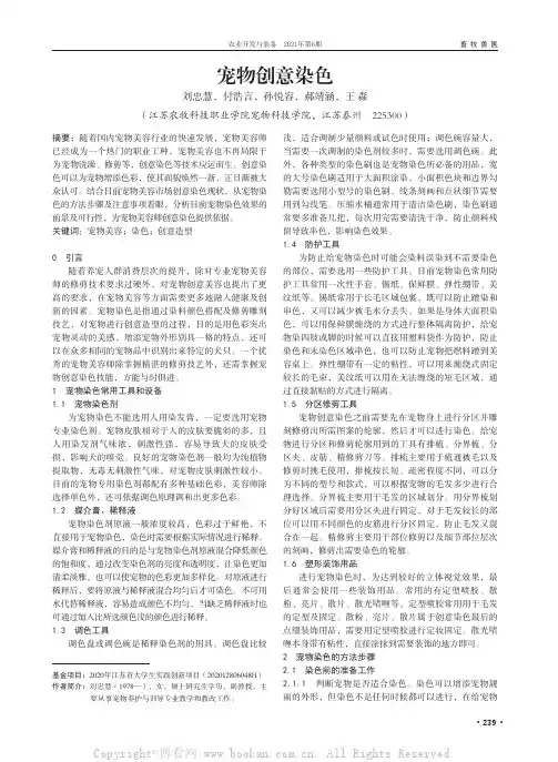 宠物创意染色