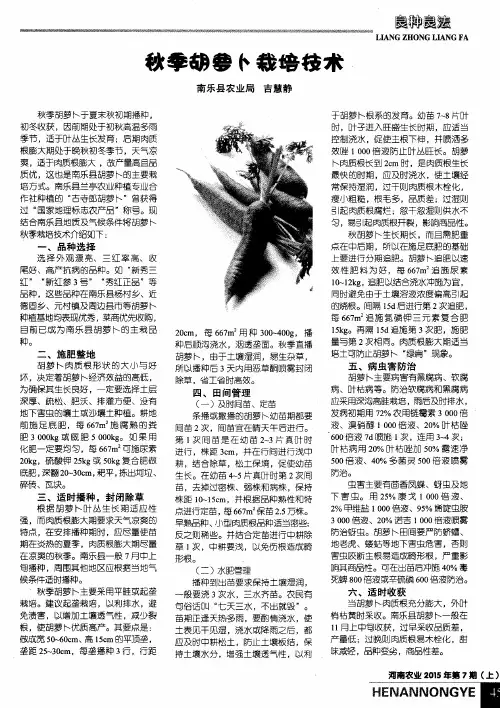秋季胡萝卜栽培技术